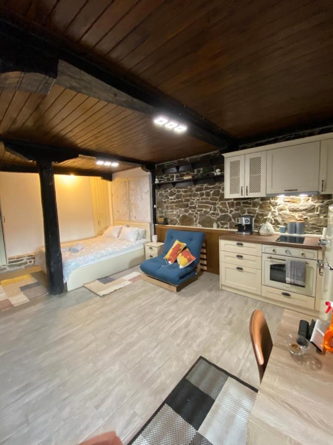 Studio Spring Villa Veliko Tárnovo Exterior foto
