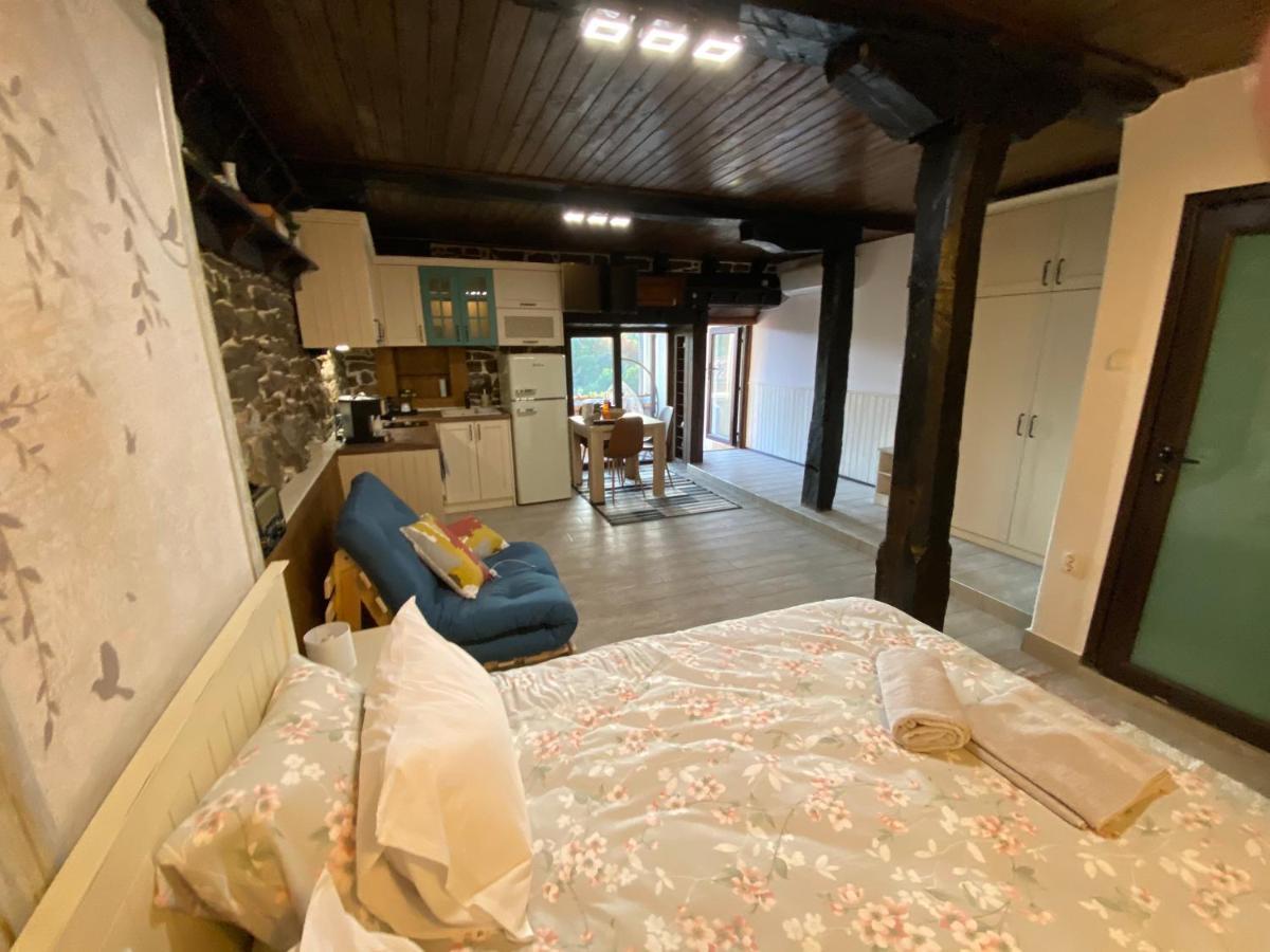 Studio Spring Villa Veliko Tárnovo Exterior foto